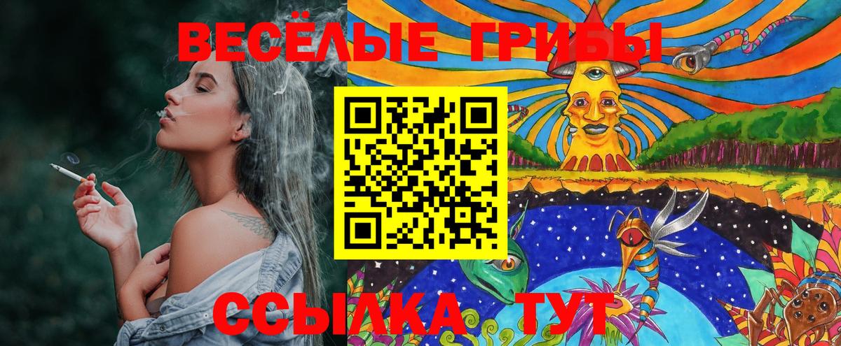 Бугуруслан  Псилоцибиновые грибы Psilocybine cubensis  Вход с VPN  Псилоцибиновые грибы Psilocybe 